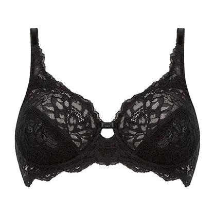 Triumph - TRI40.10180446.0004