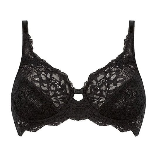 Triumph - TRI40.10180446.0004