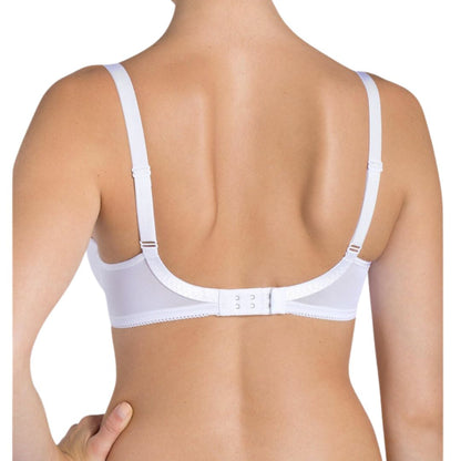 Triumph Beauty-Full Darling WP