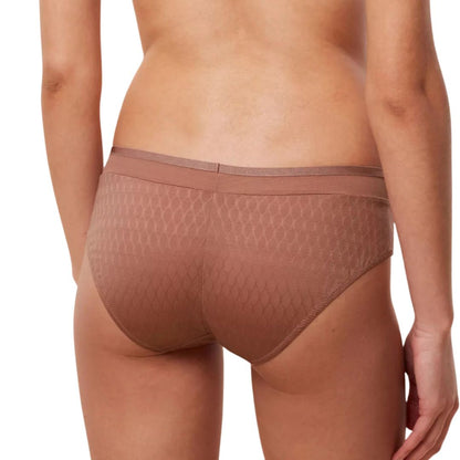 Triumph Azalea Florale Hipster